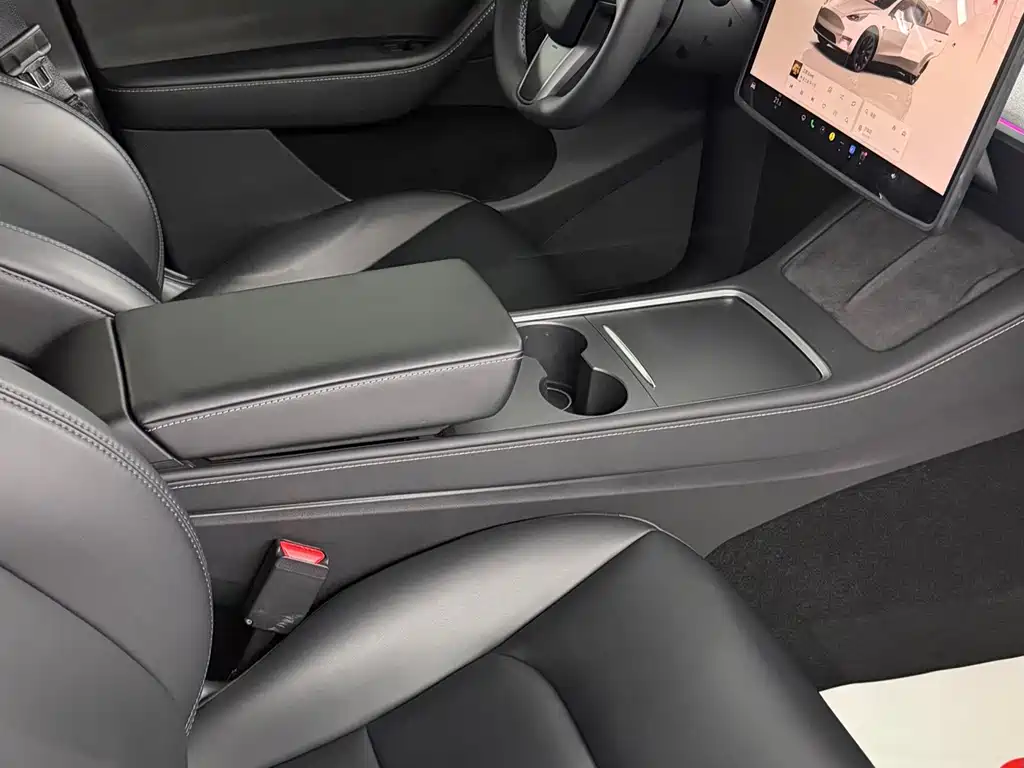 Tesla Model Y — фото 13