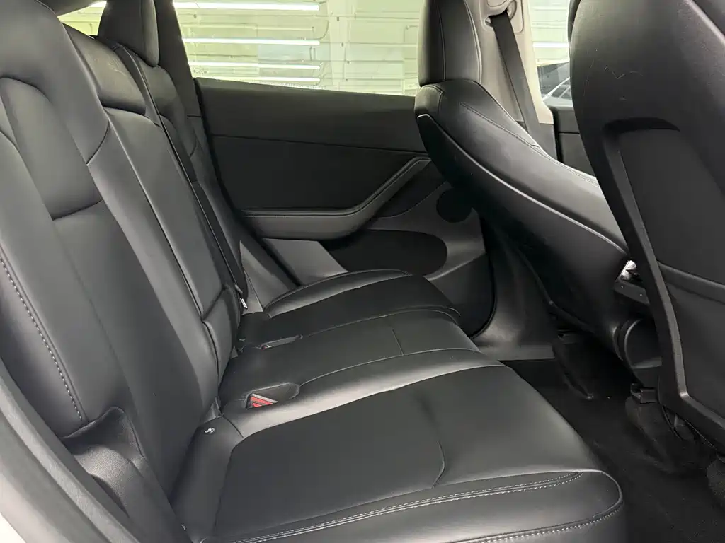 Tesla Model Y — фото 14