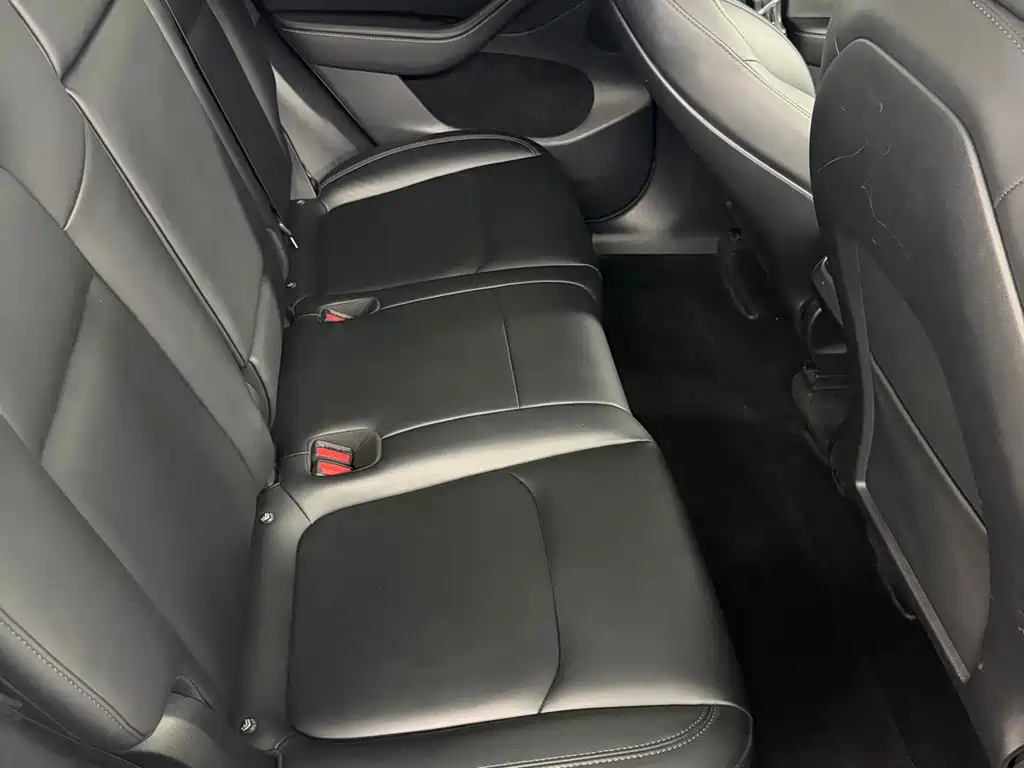 Tesla Model Y — фото 15
