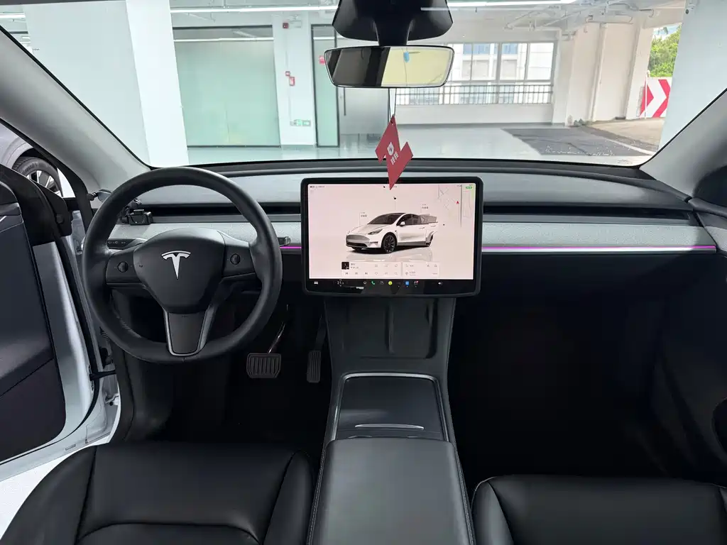 Tesla Model Y — фото 18