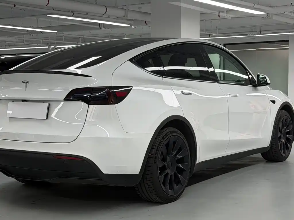 Tesla Model Y — фото 22