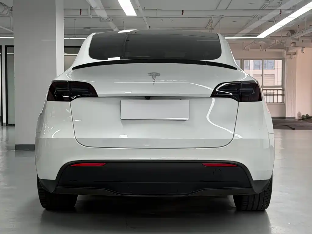 Tesla Model Y — фото 23