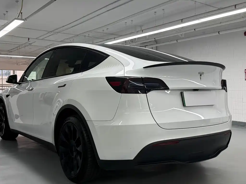 Tesla Model Y — фото 24