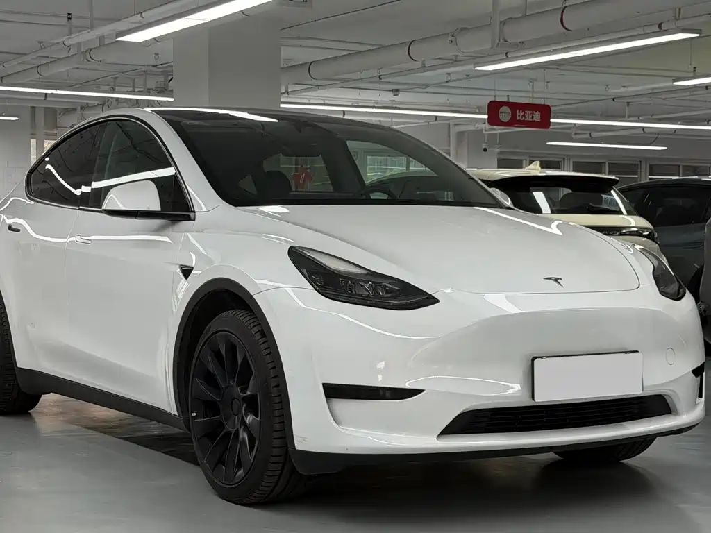 Tesla Model Y — фото 4