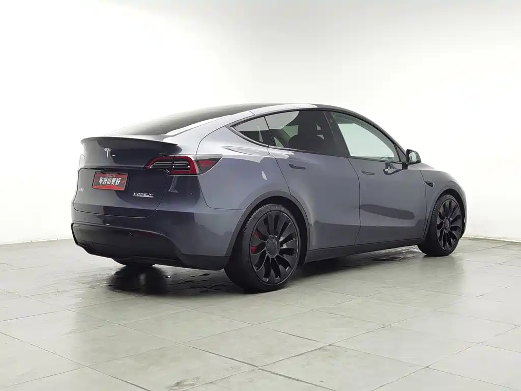 Tesla Model Y — фото 2