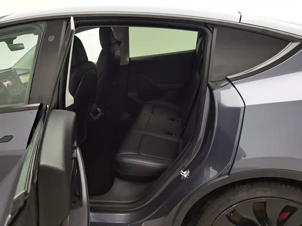Tesla Model Y — фото 15