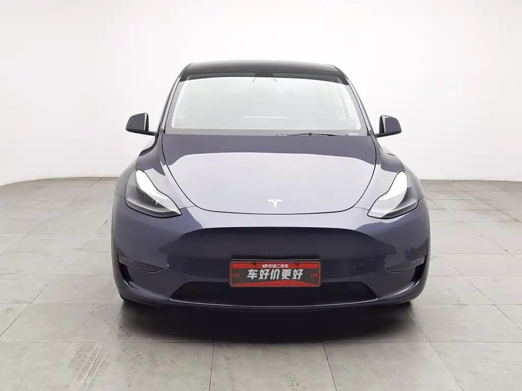 Tesla Model Y — фото 3
