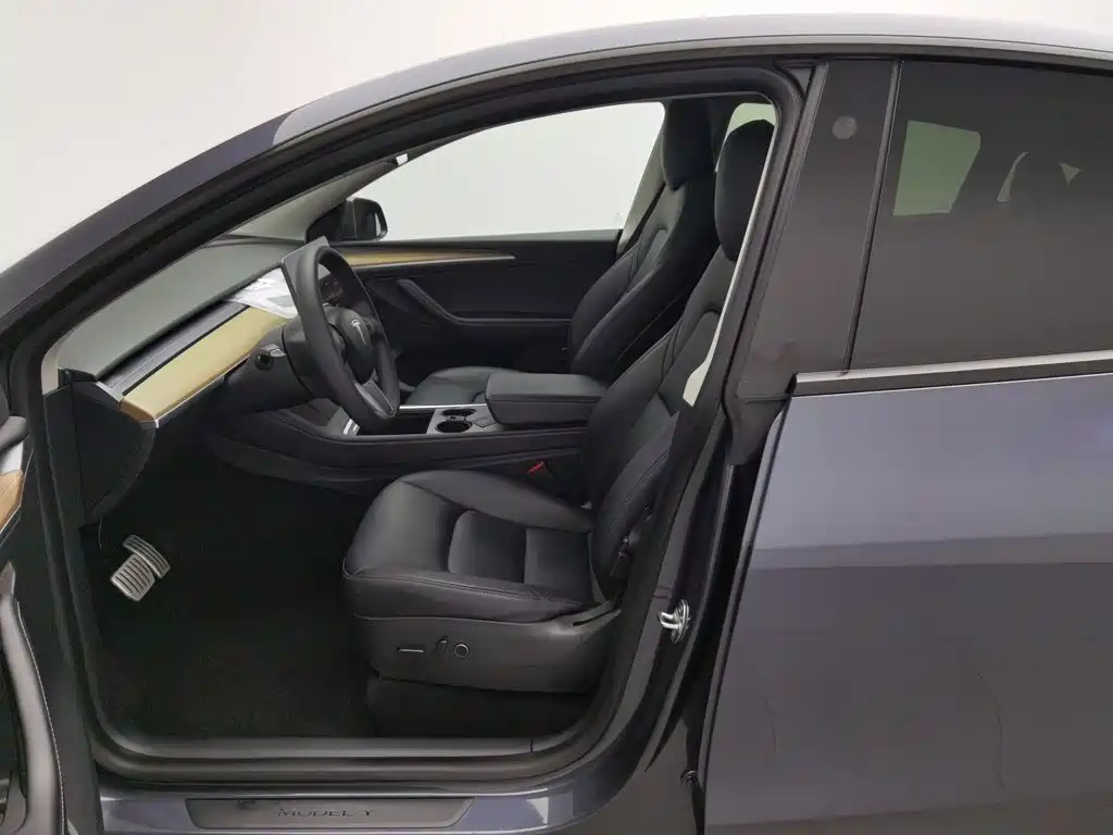 Tesla Model Y — фото 10