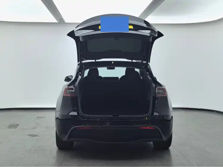 Tesla Model Y — фото 13