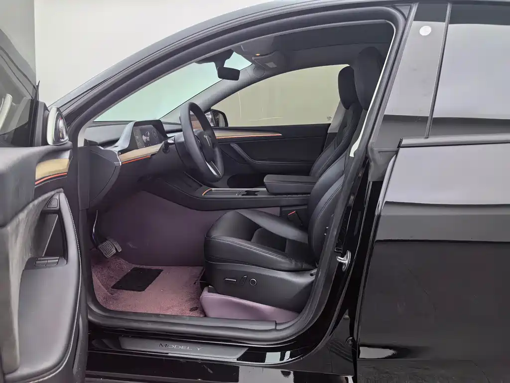Tesla Model Y — фото 17