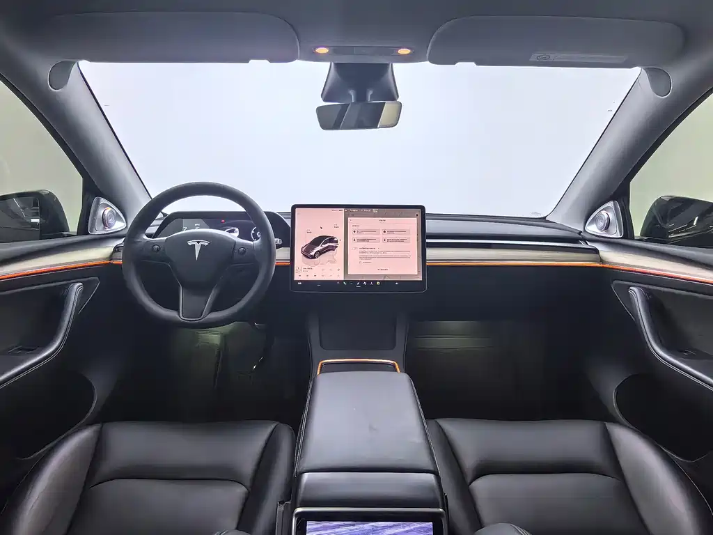 Tesla Model Y — фото 21