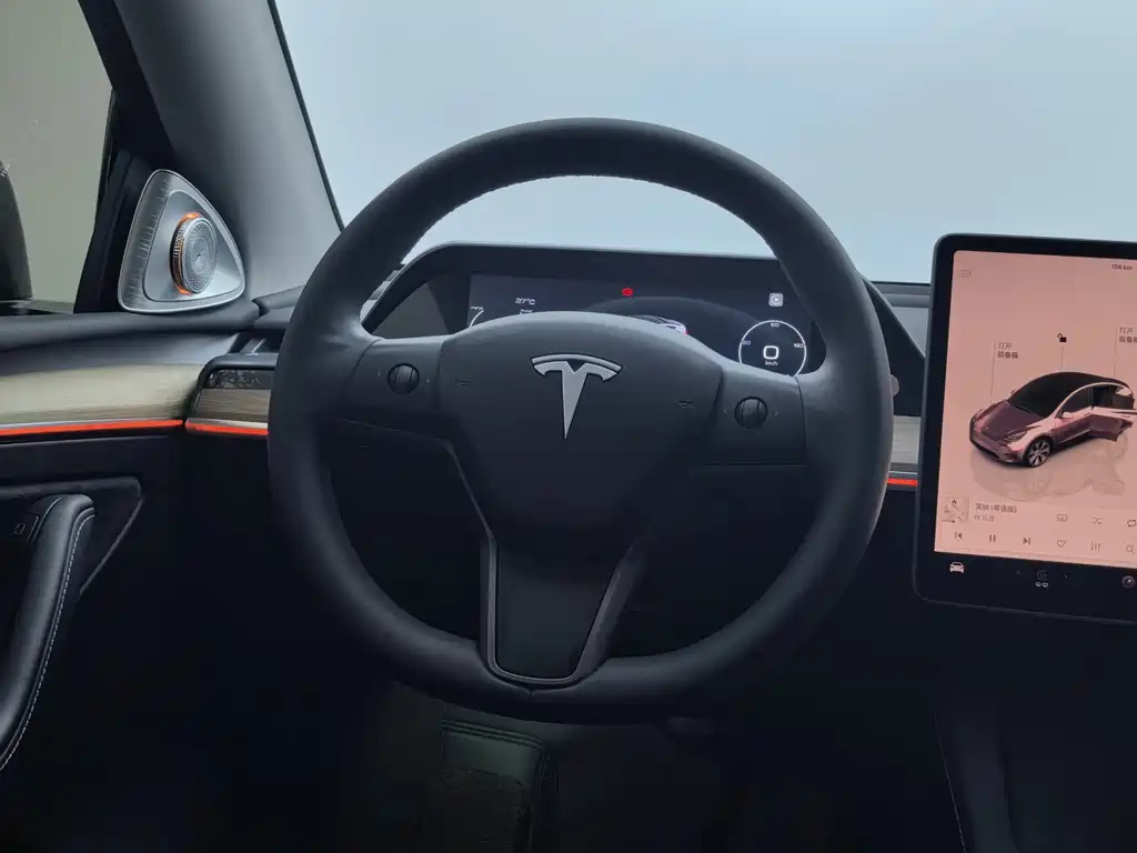 Tesla Model Y — фото 22