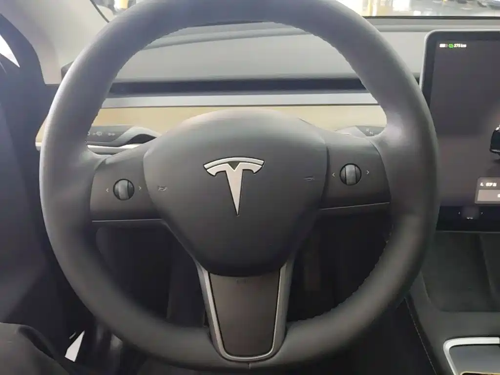 Tesla Model Y — фото 11