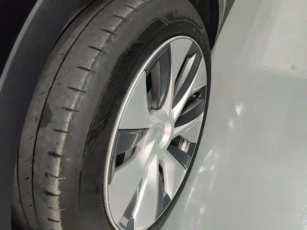 Tesla Model Y — фото 23