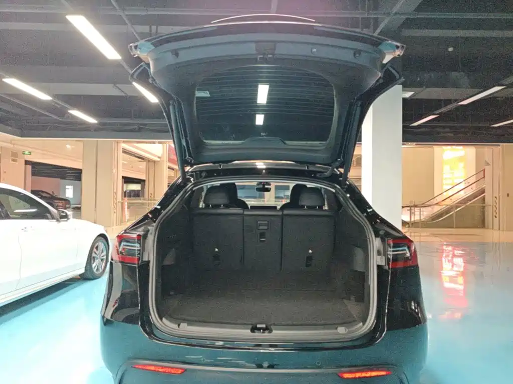 Tesla Model Y — фото 19