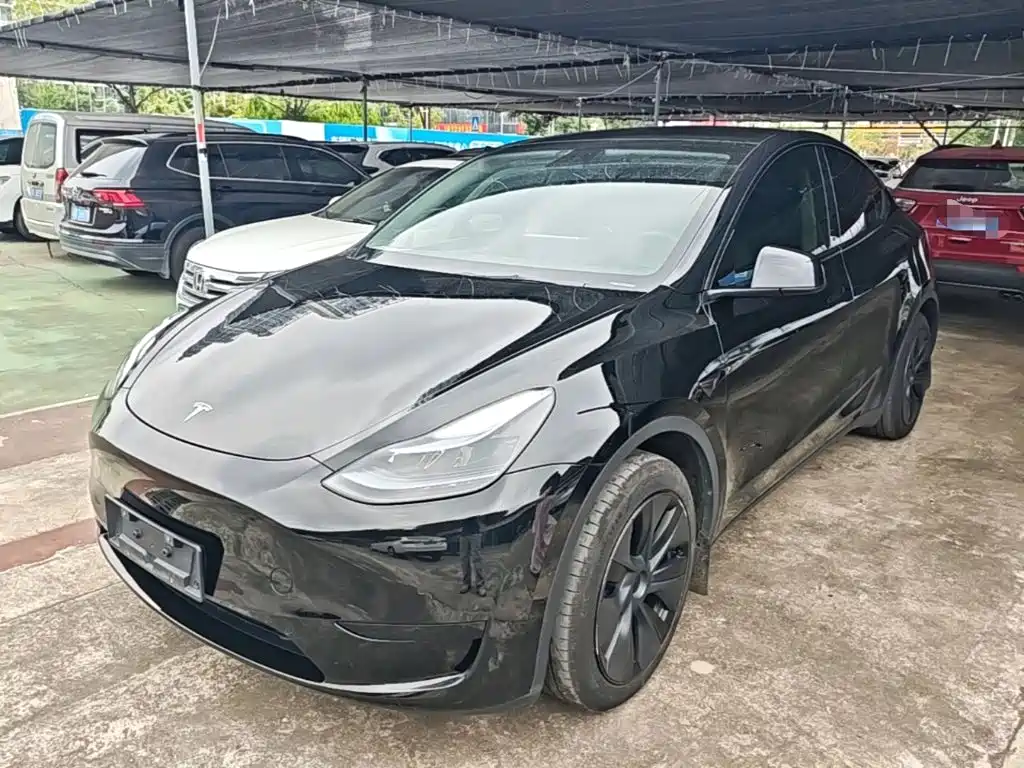 Tesla Model Y — фото 2