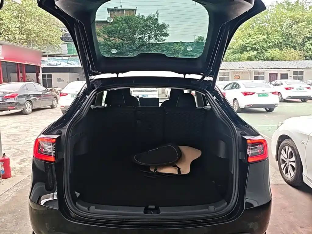 Tesla Model Y — фото 19