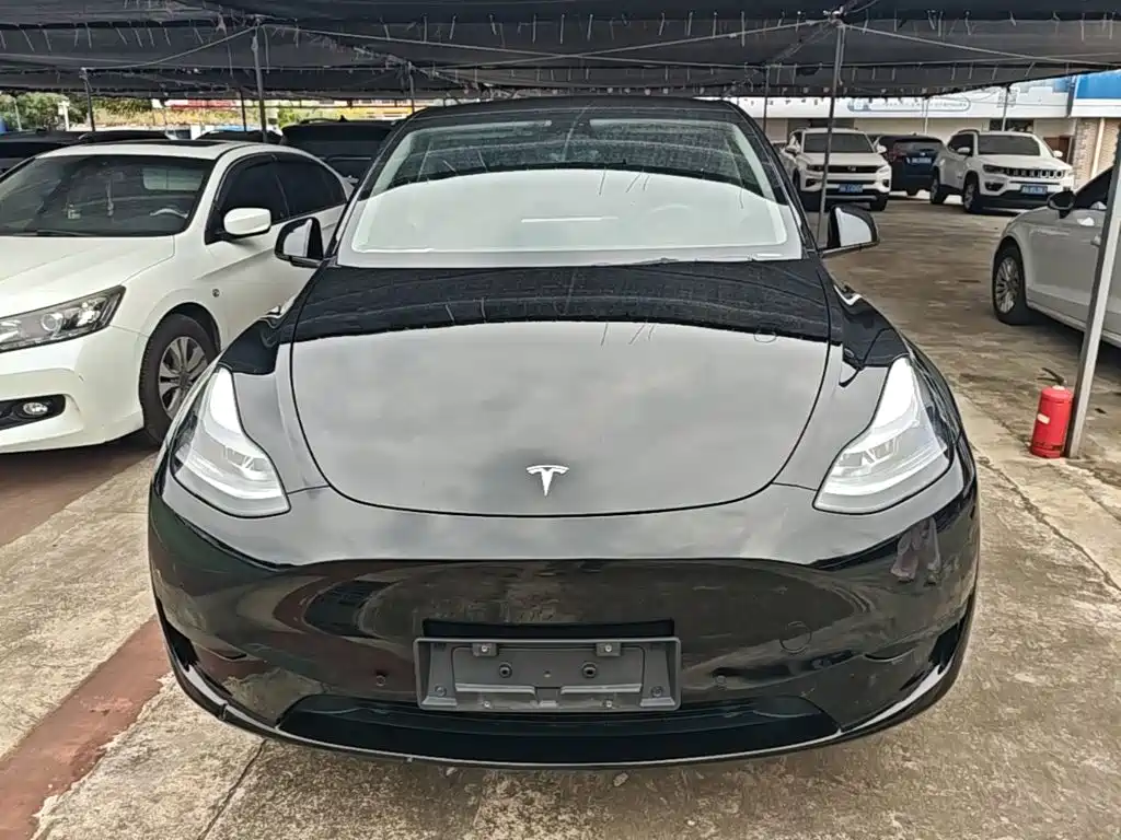 Tesla Model Y — фото 3