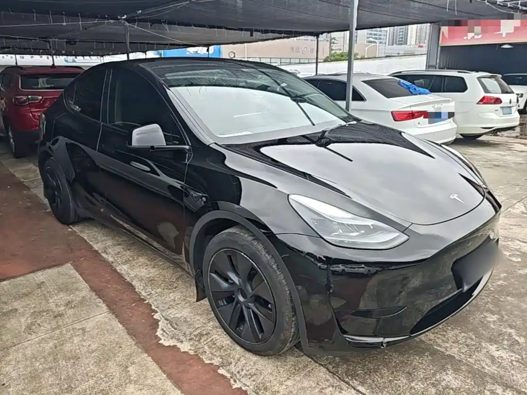 Tesla Model Y — фото 4