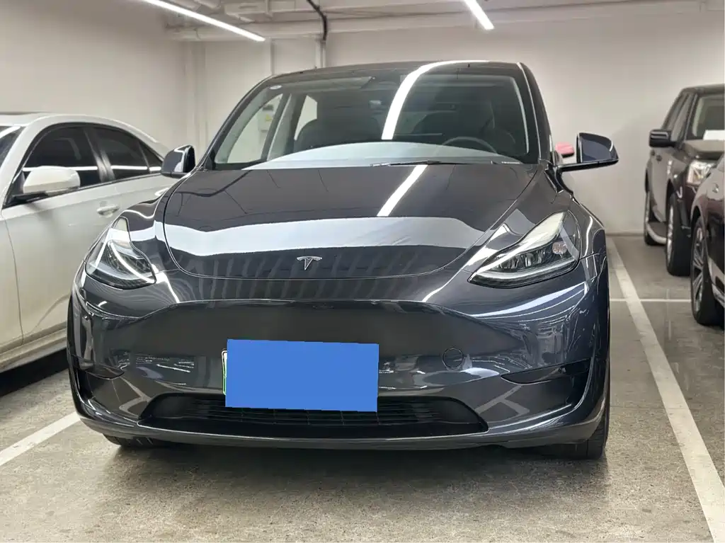 Tesla Model Y — фото 2