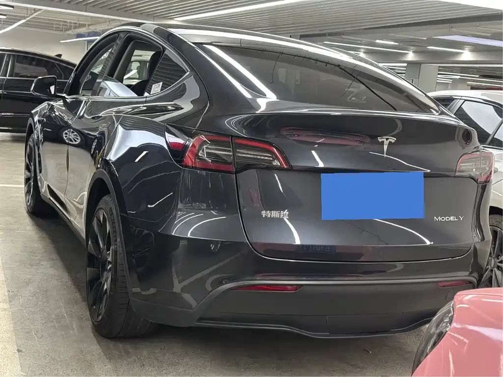 Tesla Model Y — фото 14