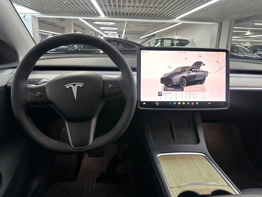 Tesla Model Y — фото 8