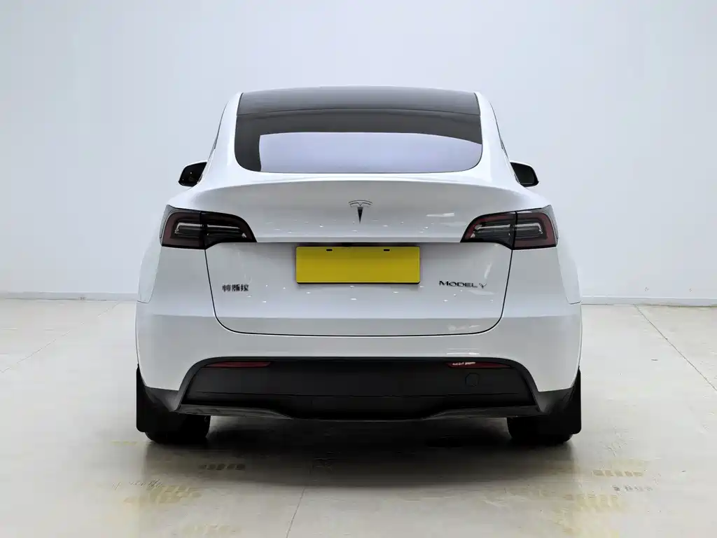 Tesla Model Y — фото 11