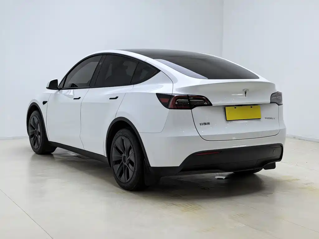 Tesla Model Y — фото 12
