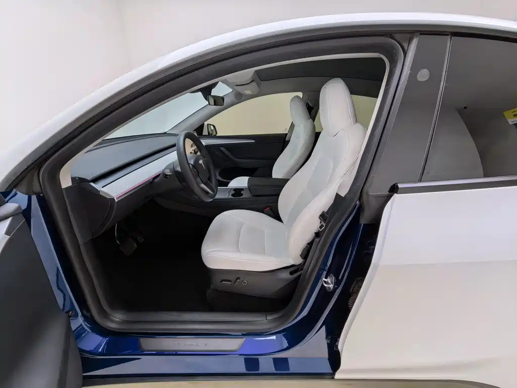 Tesla Model Y — фото 5