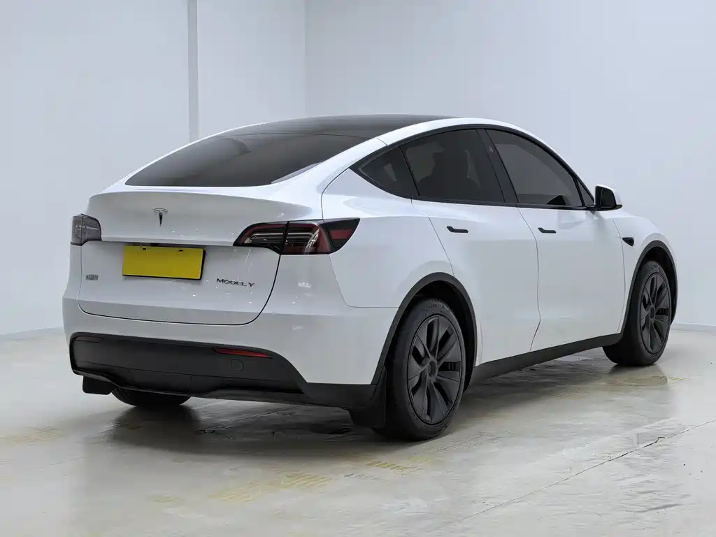 Tesla Model Y — фото 10