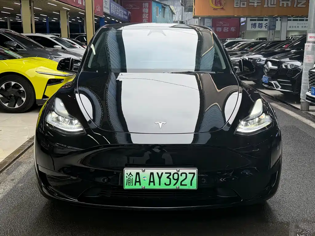 Tesla Model Y — фото 2