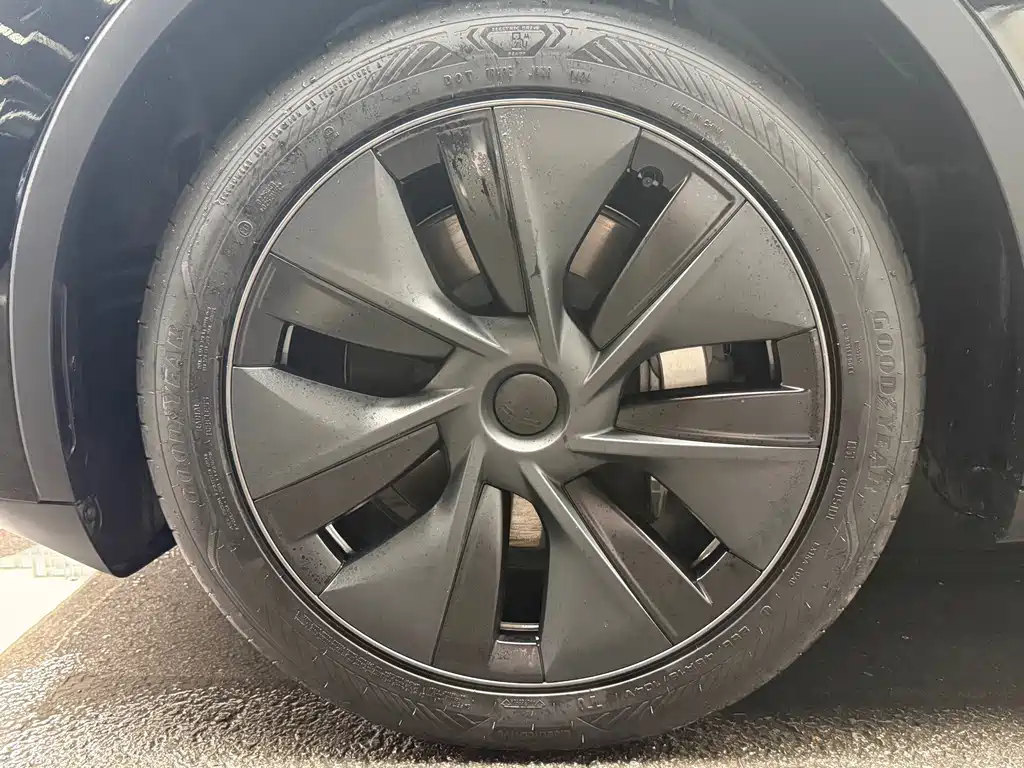 Tesla Model Y — фото 14