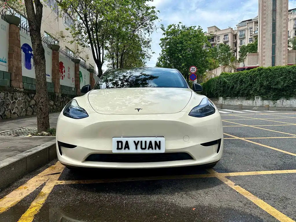 Tesla Model Y — фото 2