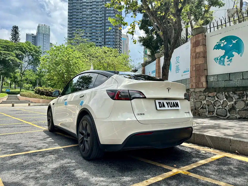 Tesla Model Y — фото 13
