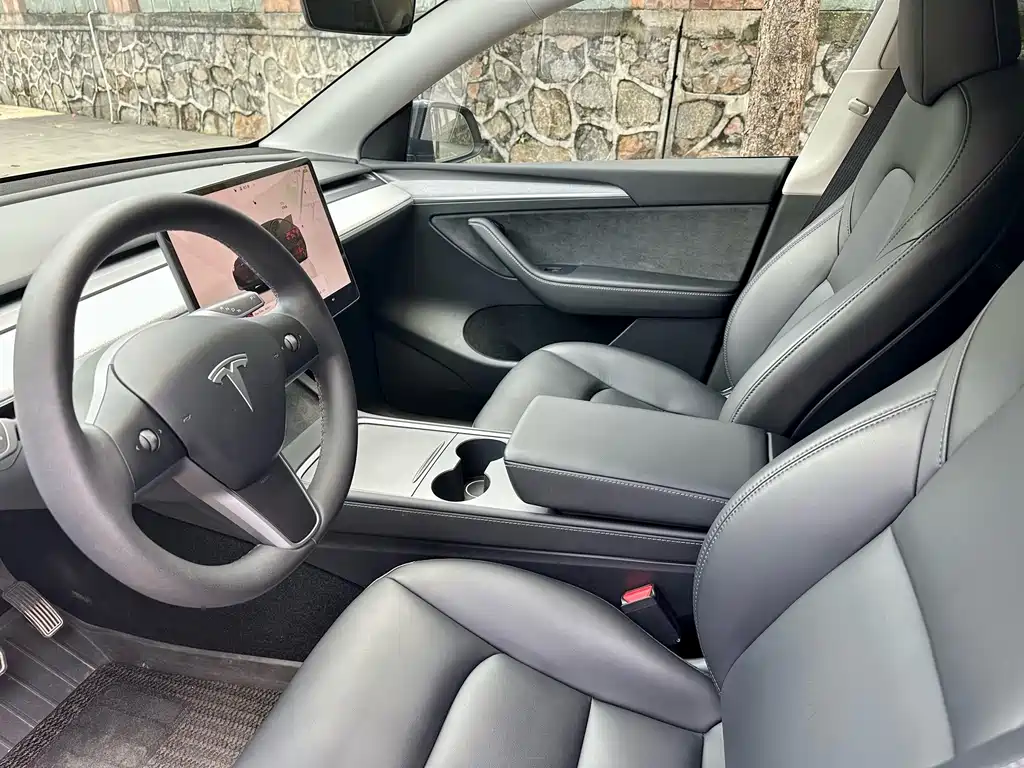 Tesla Model Y — фото 7
