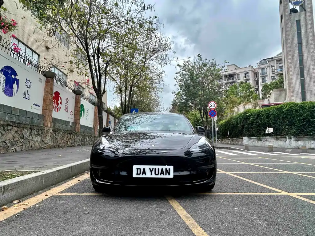 Tesla Model 3 — фото 2