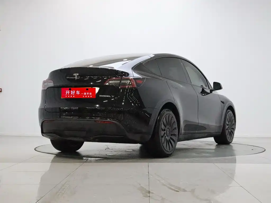 Tesla Model Y — фото 4