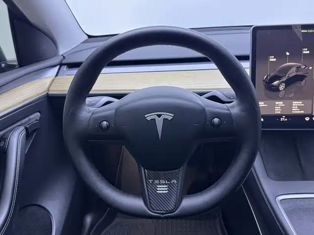 Tesla Model Y — фото 13