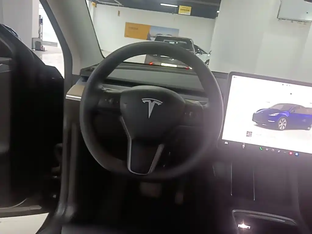 Tesla Model Y — фото 11