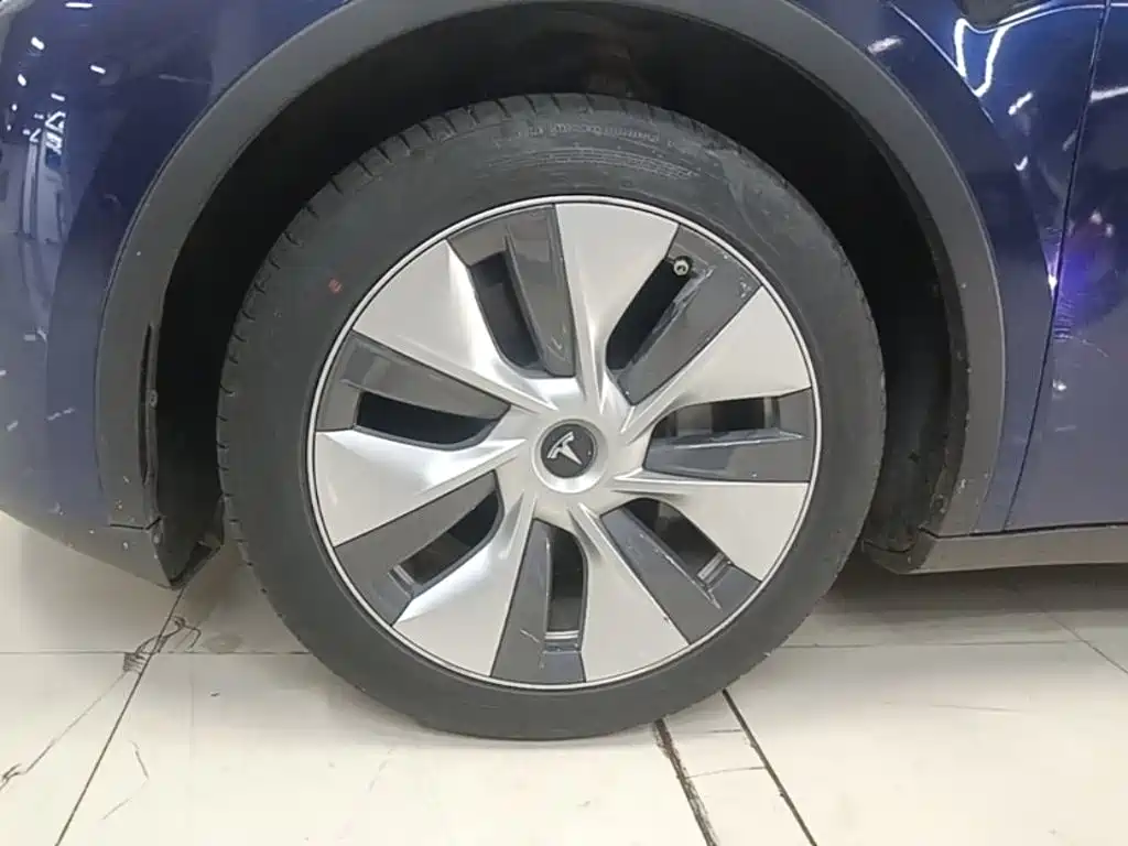Tesla Model Y — фото 23