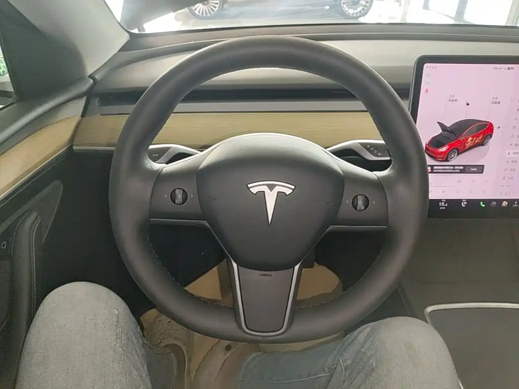 Tesla Model Y — фото 11