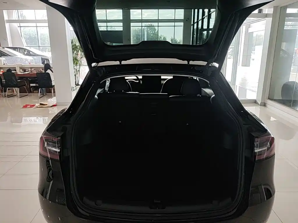 Tesla Model Y — фото 19