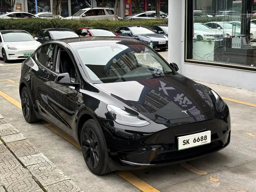 Tesla Model Y — фото 2