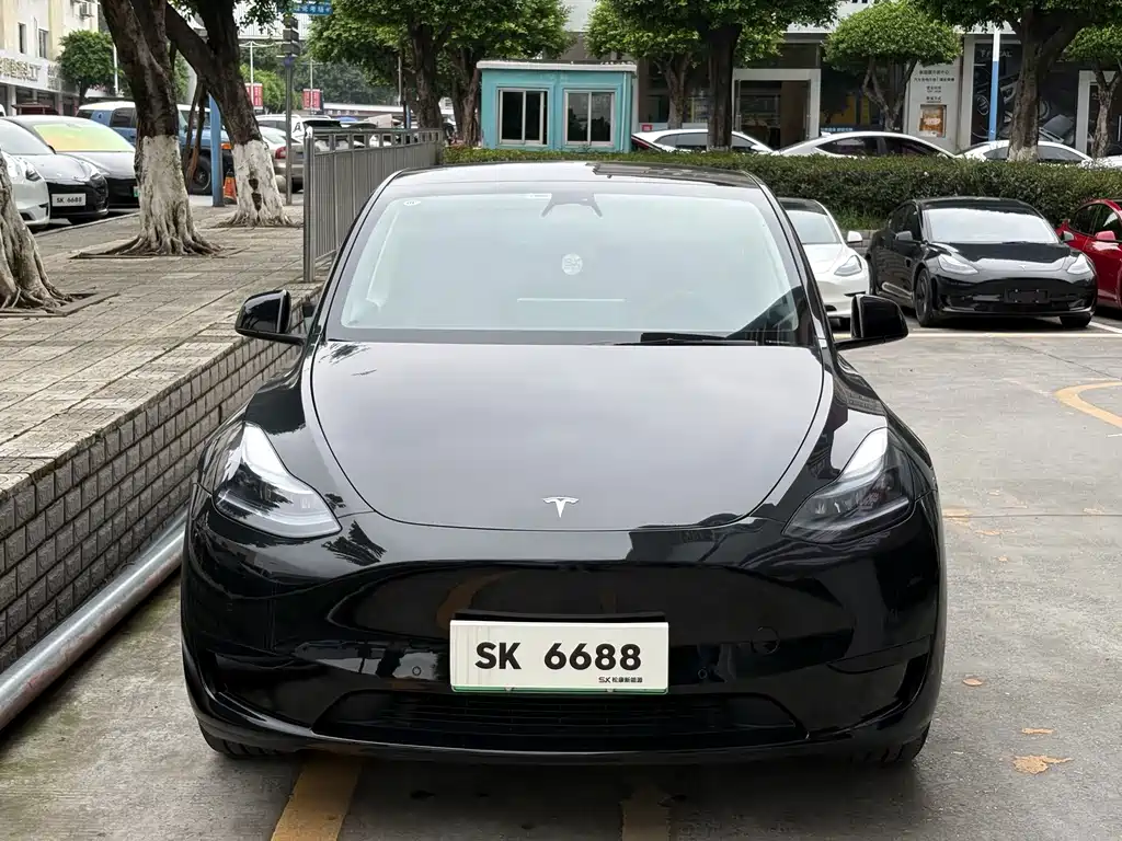 Tesla Model Y — фото 3