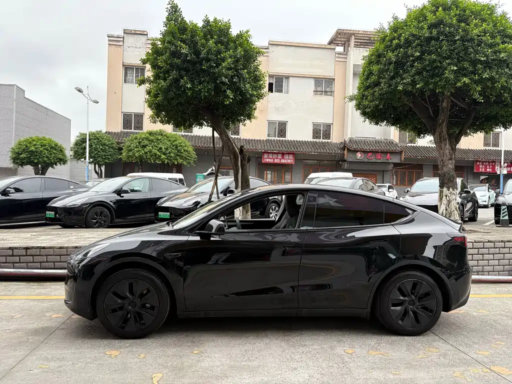 Tesla Model Y — фото 4