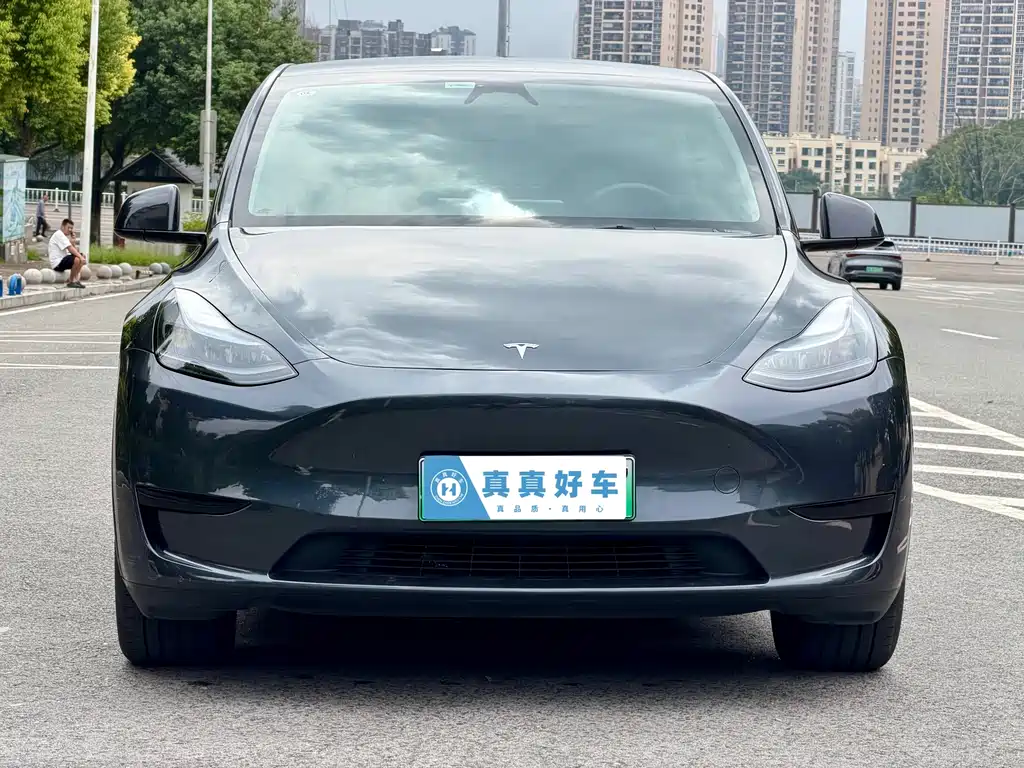 Tesla Model Y — фото 2