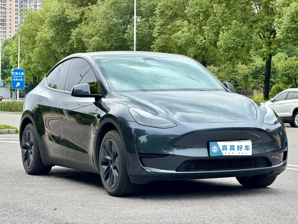 Tesla Model Y — фото 3