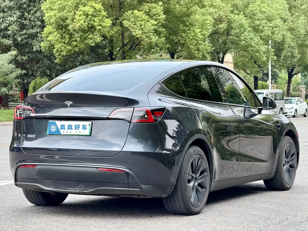 Tesla Model Y — фото 4