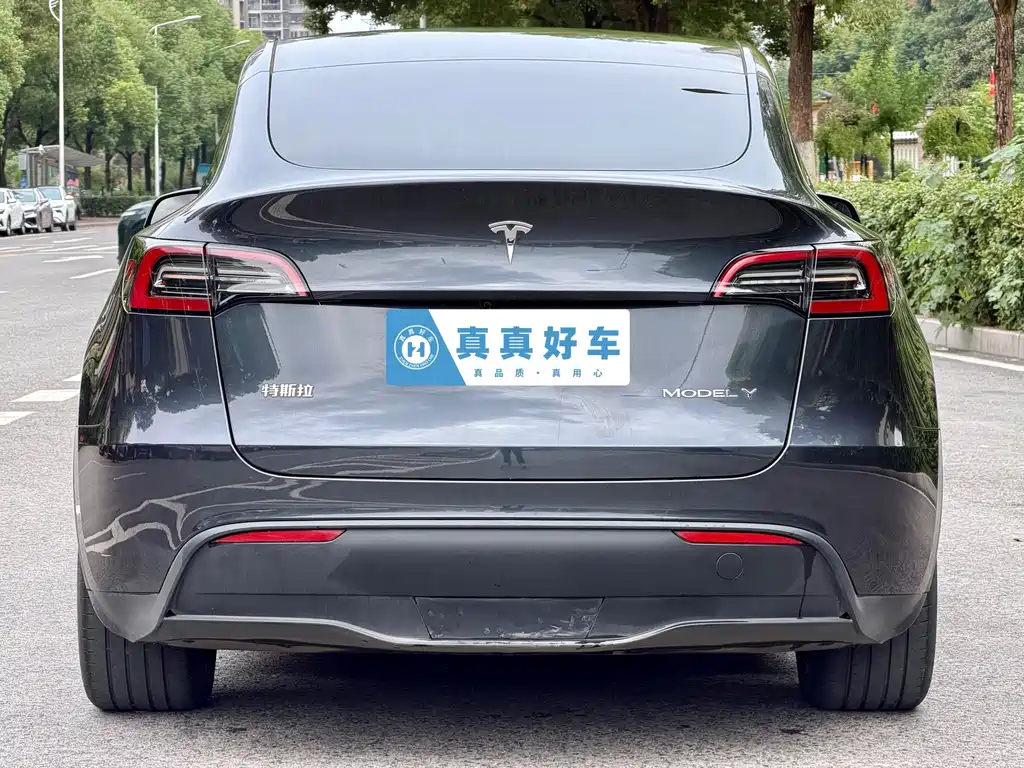 Tesla Model Y — фото 5