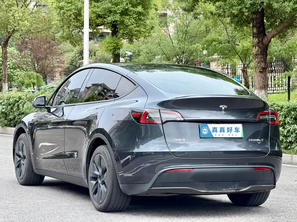 Tesla Model Y — фото 6